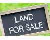 Greenville real estate