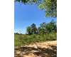 Click here to View Real Estate near 122 cotton st Poulan, GA 31781 homes near 122 cotton st Poulan, GA 31781