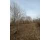Click here to View Real Estate near 315 north main street Brooklyn, MI 49230 homes near 315 north main street Brooklyn, MI 49230