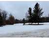 homes near 2644 north hawkins road Luther, MI 49656 